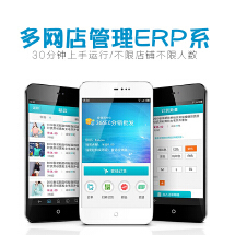 企業管理軟件外包服務 個人VIP版本九品分級體系